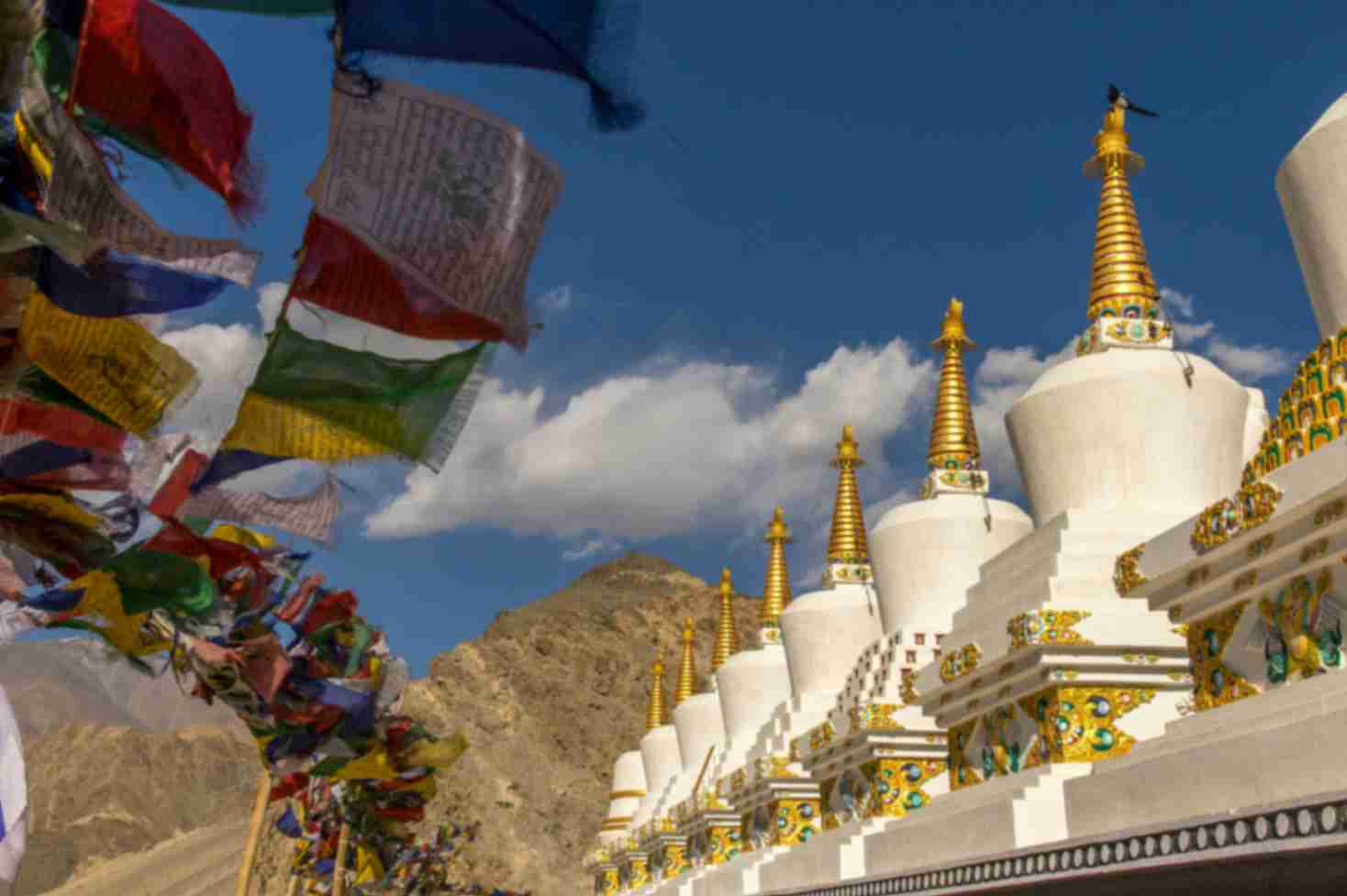 Tales of Ladakh
