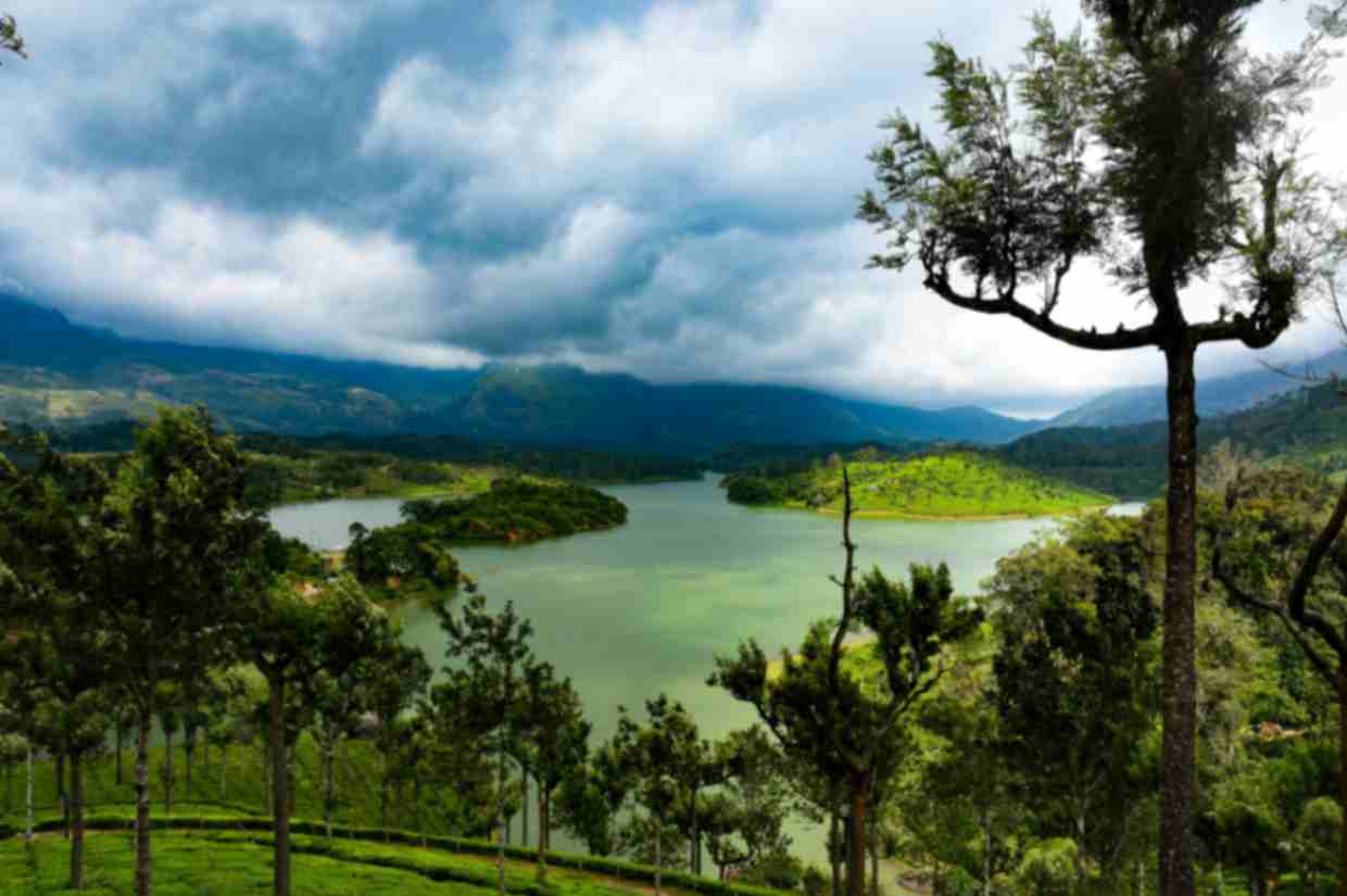 The Enchanting Kerala